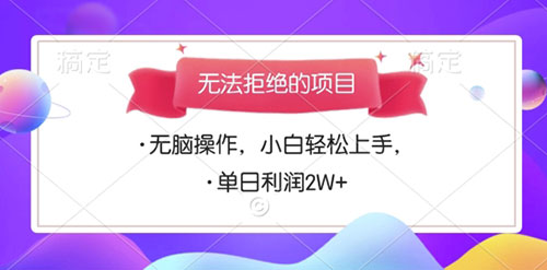 无法拒绝的项目，无脑操作，小白轻松上手，单日利润2W+