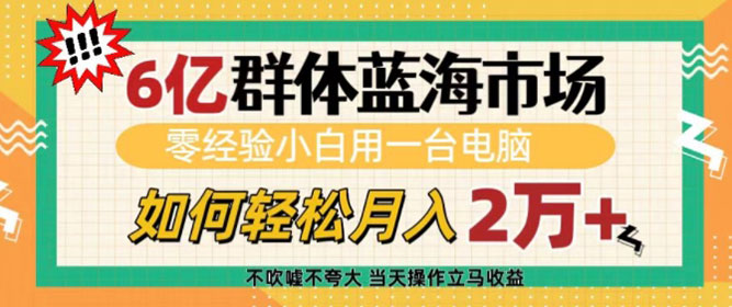 6亿群体蓝海市场，零经验小白用一台电脑，如何轻松月入过万