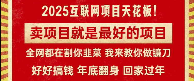 卖项目就是最好的项目，2025年互联网项目天花板