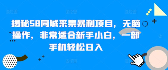 揭秘58同城采集暴利项目，无脑操作，非常适合新手小白，一部手机轻松日入